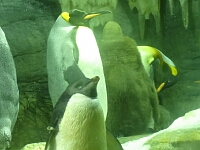 日記の画像