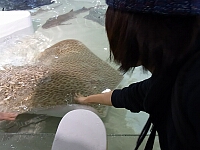日記の画像