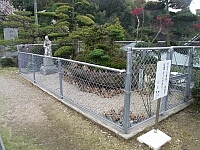 日記の画像