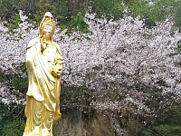 日記の画像