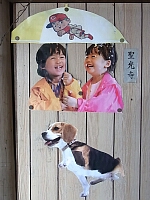 日記の画像