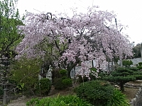 日記の画像