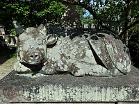 日記の画像