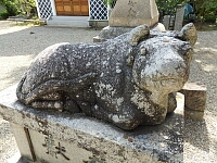日記の画像