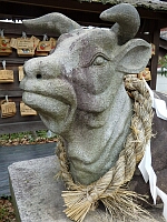 日記の画像