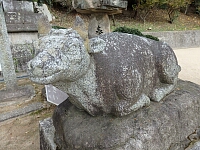 日記の画像