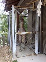 日記の画像