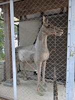 日記の画像