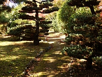 日記の画像
