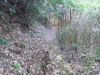 日記の画像