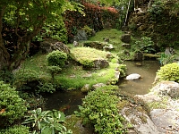 日記の画像