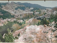 日記の画像