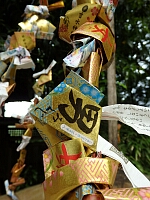 日記の画像