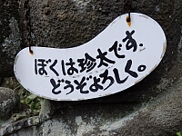 日記の画像