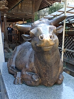 日記の画像