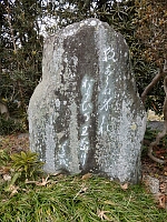 日記の画像