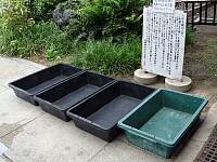 日記の画像