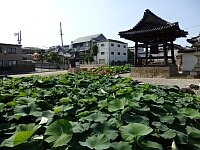 日記の画像