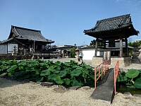 日記の画像