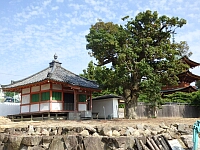 日記の画像