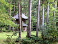 日記の画像
