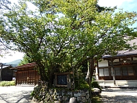 日記の画像