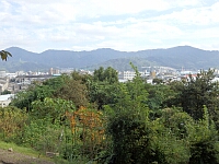 日記の画像