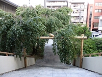 日記の画像