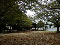 日記の画像