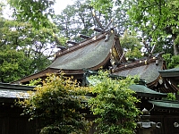 日記の画像