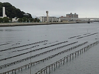 日記の画像