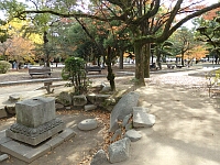 日記の画像