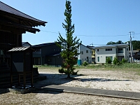 日記の画像