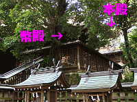 日記の画像