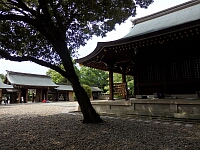 日記の画像