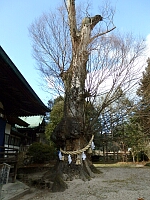 日記の画像