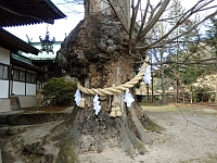 日記の画像