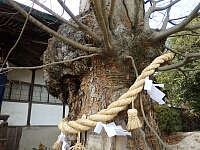 日記の画像