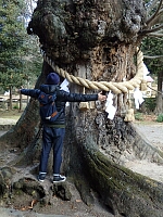 日記の画像