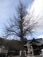 日記の画像