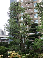 日記の画像