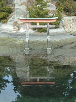 日記の画像