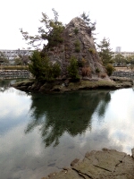 日記の画像
