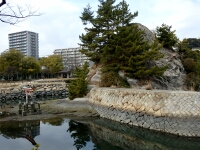 日記の画像