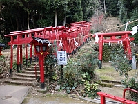 日記の画像