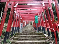 日記の画像