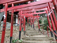 日記の画像