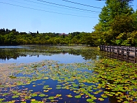 日記の画像