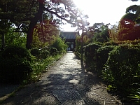 日記の画像