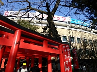 日記の画像